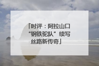 时评：阿拉山口“钢铁驼队”续写丝路新传奇