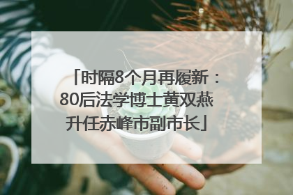 时隔8个月再履新：80后法学博士黄双燕升任赤峰市副市长