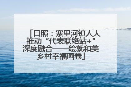 日照：寨里河镇人大推动“代表联络站+”深度融合——绘就和美乡村幸福画卷