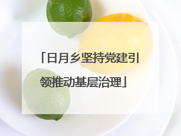 日月乡坚持党建引领推动基层治理