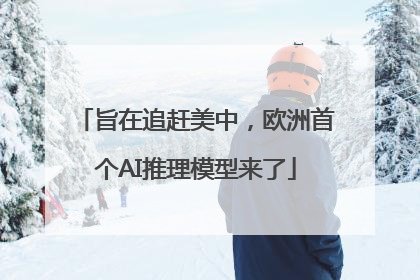 旨在追赶美中，欧洲首个AI推理模型来了