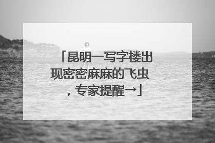 昆明一写字楼出现密密麻麻的飞虫，专家提醒→