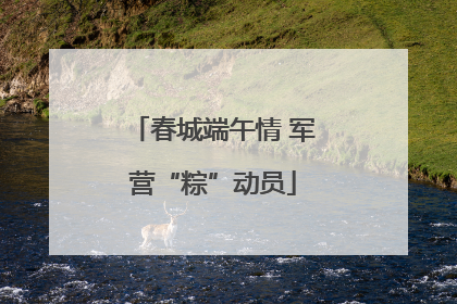春城端午情 军营“粽”动员