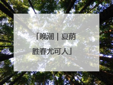 晚潮｜夏荫胜春尤可人