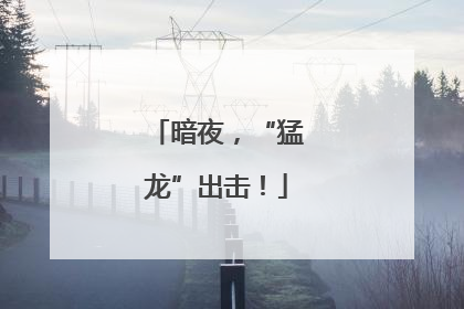 暗夜，“猛龙”出击！