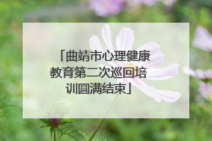 曲靖市心理健康教育第二次巡回培训圆满结束