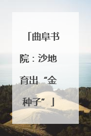 曲阜书院：沙地育出“金种子”