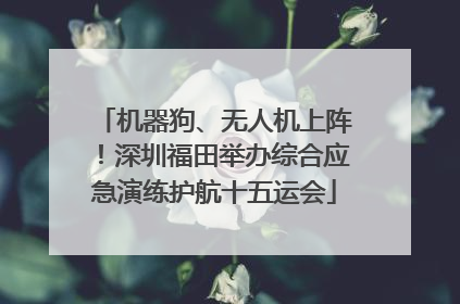 机器狗、无人机上阵！深圳福田举办综合应急演练护航十五运会
