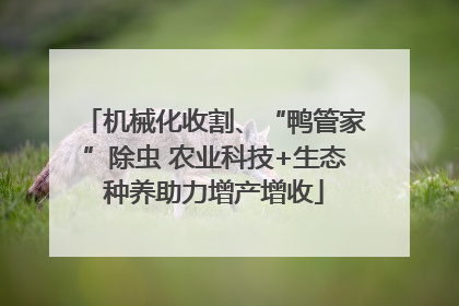 机械化收割、“鸭管家”除虫 农业科技+生态种养助力增产增收