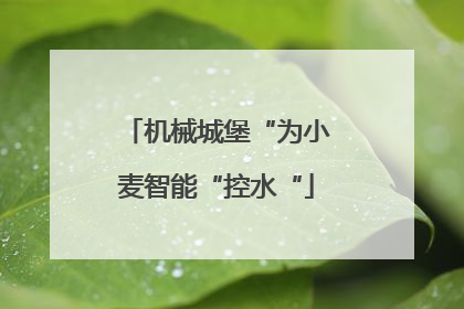 机械城堡“为小麦智能“控水“