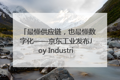 最懂供应链，也最懂数字化——京东工业发布Joy Industrial 重塑工业未来