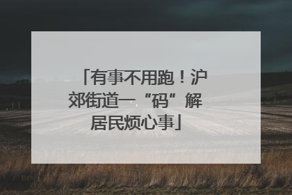 有事不用跑！沪郊街道一“码”解居民烦心事