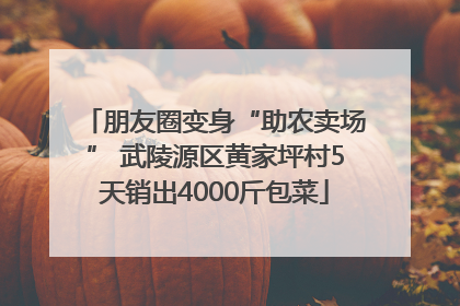 朋友圈变身“助农卖场” 武陵源区黄家坪村5天销出4000斤包菜