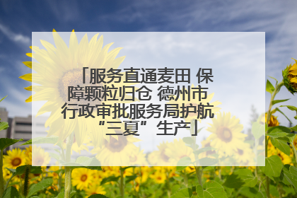 服务直通麦田 保障颗粒归仓 德州市行政审批服务局护航“三夏”生产