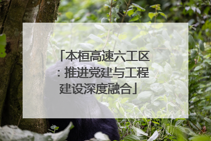 本桓高速六工区：推进党建与工程建设深度融合