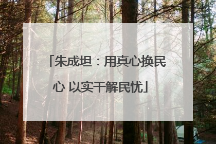 朱成坦：用真心换民心 以实干解民忧