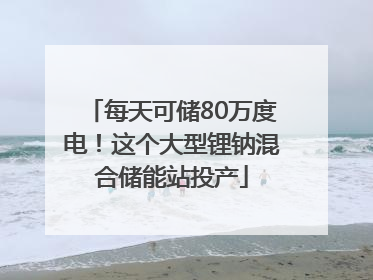 每天可储80万度电！这个大型锂钠混合储能站投产
