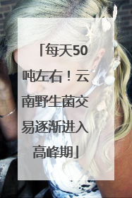 每天50吨左右！云南野生菌交易逐渐进入高峰期