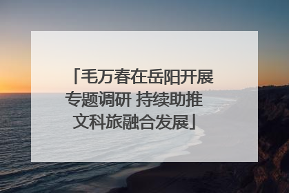 毛万春在岳阳开展专题调研 持续助推文科旅融合发展