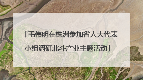 毛伟明在株洲参加省人大代表小组调研北斗产业主题活动