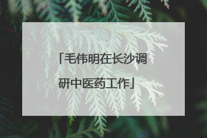 毛伟明在长沙调研中医药工作