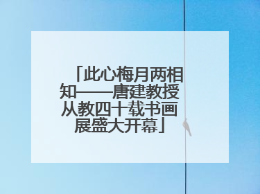 此心梅月两相知——唐建教授从教四十载书画展盛大开幕