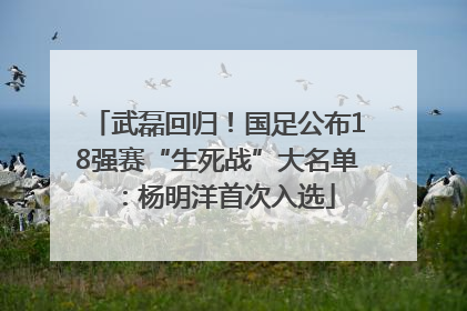 武磊回归！国足公布18强赛“生死战”大名单：杨明洋首次入选