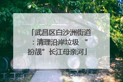 武昌区白沙洲街道：清理沿岸垃圾 “扮靓”长江母亲河