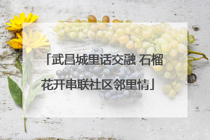 武昌城里话交融 石榴花开串联社区邻里情