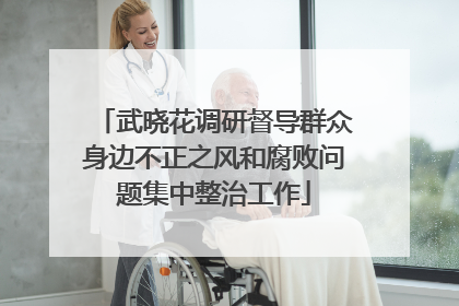 武晓花调研督导群众身边不正之风和腐败问题集中整治工作