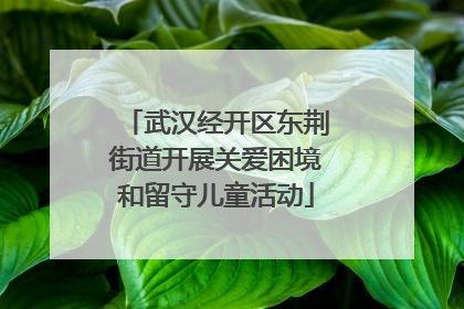 武汉经开区东荆街道开展关爱困境和留守儿童活动