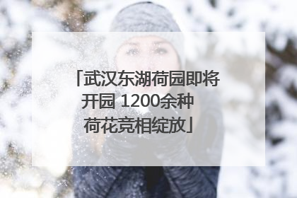 武汉东湖荷园即将开园 1200余种荷花竞相绽放