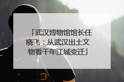 武汉博物馆馆长任晓飞：从武汉出土文物看千年江城变迁