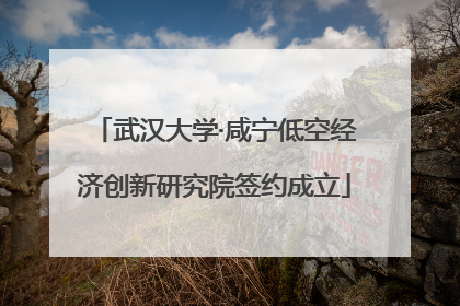 武汉大学·咸宁低空经济创新研究院签约成立