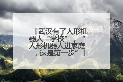武汉有了人形机器人“学校”，“人形机器人进家庭，这是第一步”