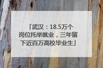 武汉：18.5万个岗位托举就业，三年留下近百万高校毕业生