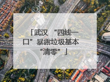武汉 “四线一口”暴露垃圾基本 “清零”
