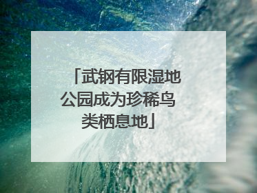 武钢有限湿地公园成为珍稀鸟类栖息地