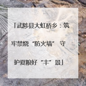 武陟县大虹桥乡：筑牢禁烧“防火墙” 守护夏粮好“丰”景