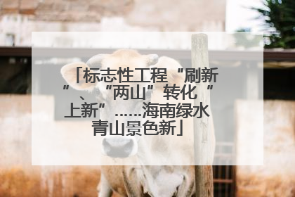标志性工程“刷新”、“两山”转化“上新”……海南绿水青山景色新