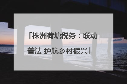 株洲荷塘税务：联动普法 护航乡村振兴
