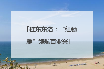 桂东东洛：“红领雁”领航百业兴