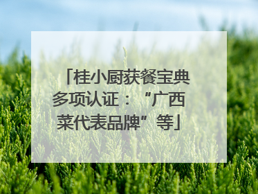 桂小厨获餐宝典多项认证：“广西菜代表品牌”等