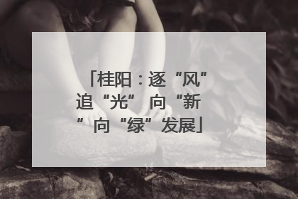 桂阳：逐“风”追“光” 向“新”向“绿”发展