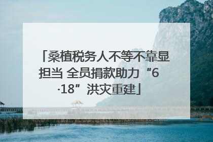 桑植税务人不等不靠显担当 全员捐款助力“6·18”洪灾重建