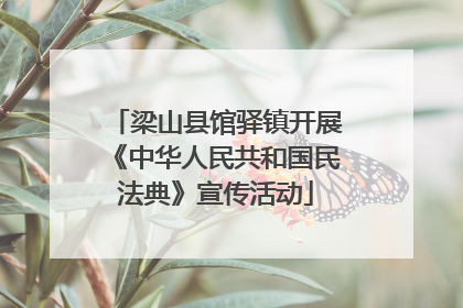 梁山县馆驿镇开展《中华人民共和国民法典》宣传活动
