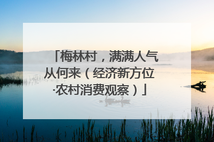 梅林村，满满人气从何来（经济新方位·农村消费观察）