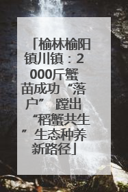 榆林榆阳镇川镇：2000斤蟹苗成功“落户” 蹚出“稻蟹共生”生态种养新路径
