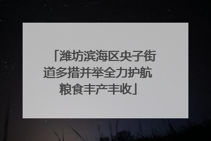 潍坊滨海区央子街道多措并举全力护航粮食丰产丰收
