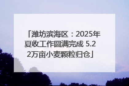 潍坊滨海区：2025年夏收工作圆满完成 5.22万亩小麦颗粒归仓